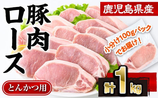 鹿児島県産 豚肉 ロース とんかつ (計1kg・100g×10P) 【株式会社羽根】A1081