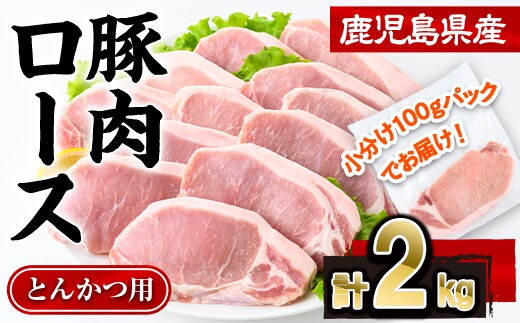 鹿児島県産 豚肉 ロース とんかつ (計2kg・100g×20P) 【株式会社羽根】A1082