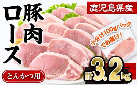 鹿児島県産 豚肉 ロース とんかつ (計3.2kg・100g×32P) 【株式会社羽根】A1083