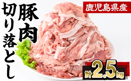 鹿児島県産 豚肉 切り落とし (計2.5kg・250g×10P)【株式会社羽根】A1087