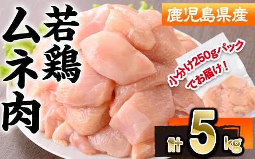 鹿児島県産 若鶏 ムネ肉 (計5kg・250g×20P) 冷凍 【株式会社羽根】A1090