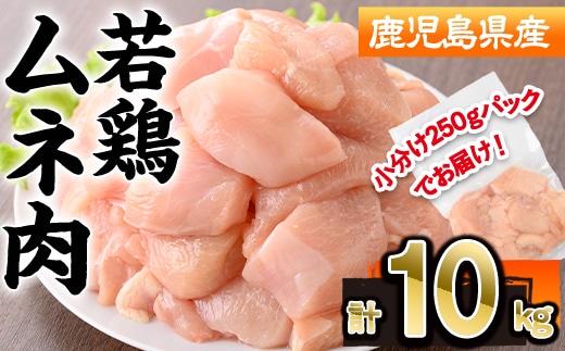鹿児島県産 若鶏 ムネ肉 (計10kg・250g×40P) 冷凍 【株式会社羽根】A1091