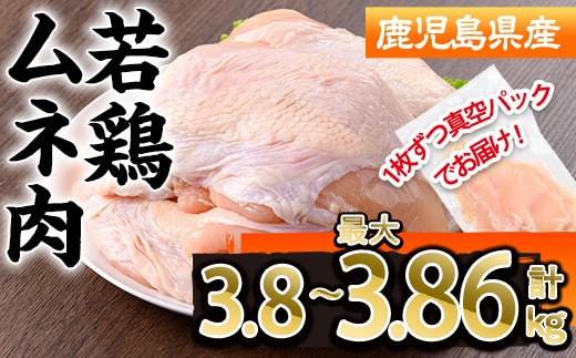 鹿児島県産若鶏ムネ肉不定貫(計3.8～最大3.86kg・300～350g×12~14P) 鹿児島県 若鶏 鶏肉 【株式会社羽根】A1094