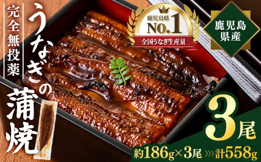 鹿児島県産うなぎ蒲焼 (計約558g / 約186g×3尾) 鰻 ウナギ うなぎ 【薩摩川内鰻】 A1109