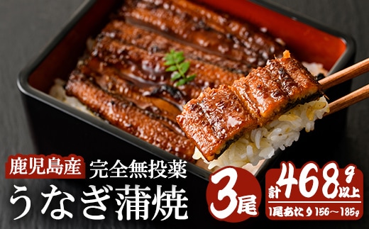 鹿児島産うなぎ蒲焼(無頭) (計468g以上・156g～185g×3尾) 鰻 蒲焼き 真空パック【株式会社財宝】A1117