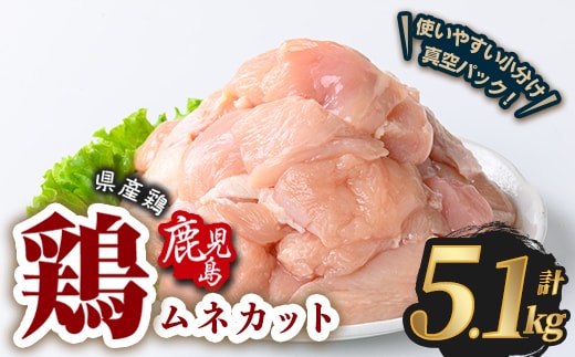 鹿児島県産若鶏ムネカット(計5.1kg・300g×17P) 鶏肉 国産 鹿児島産 小分け 【Rana】A1128