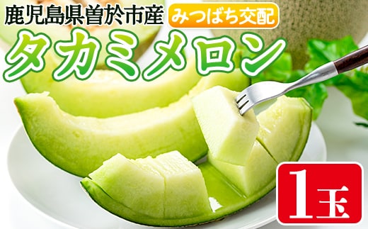 タカミメロン(1個入・1.6kg～) メロン 青肉 果物【曽於市観光協会】A1136