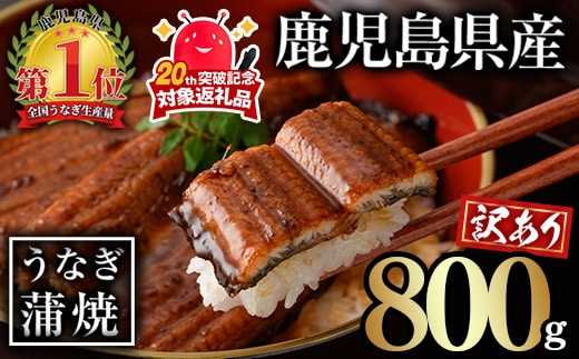 ＜訳あり＞無投薬！鹿児島県産うなぎ蒲焼セット(計800g・尾数不定) タレ・山椒付き 鰻 ウナギ 蒲焼 きざみ 冷凍【西日本養鰻】A1162