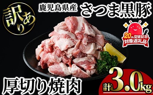 【訳あり】鹿児島県産さつま黒豚 不揃い厚切り焼肉 (計3.0kg・1.0kg×3P) 鹿児島県産 豚肉 黒豚 【KNOT】 A1168-v01