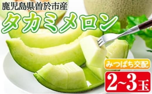 タカミメロン(2～3個入)メロン青肉果物【曽於市観光協会】A153-v02