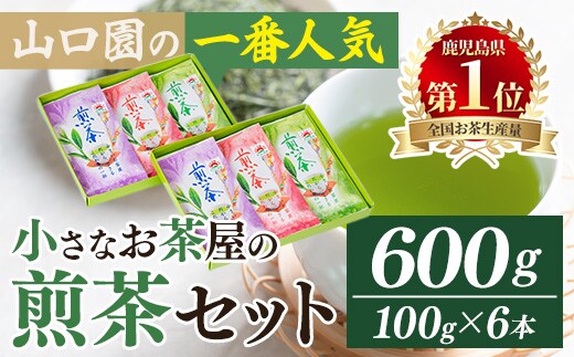 ＜お茶生産量日本一の鹿児島県産！＞小さいお茶屋の煎茶セット(煎茶100g×6本・合計600g)鹿児島県産煎茶セット【お茶の山口園】A185-v01