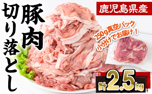 鹿児島県産 豚肉 切り落とし (計2.5kg・250g×10P)【株式会社羽根】A1087