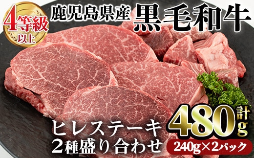 鹿児島県産黒毛和牛(4～5等級)ヒレステーキ2種盛り(合計480g・240g×2パック)牛肉ヒレ肉赤身【カミチク】A231-v01