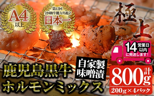 ＜14営業日以内発送！＞鹿児島黒牛和牛ホルモンミックス自家製味噌漬け(計800g・200g×4P)国産鹿児島県産黒毛和牛【佐多精肉店】A24-v02