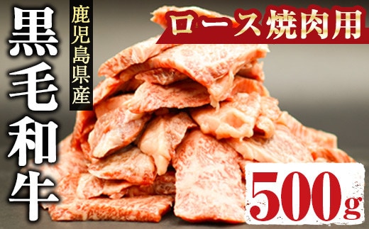鹿児島県産黒毛和牛ロース500g(焼肉用カット)国産鹿児島県産黒毛和牛【アグリおおすみ】A288-v01