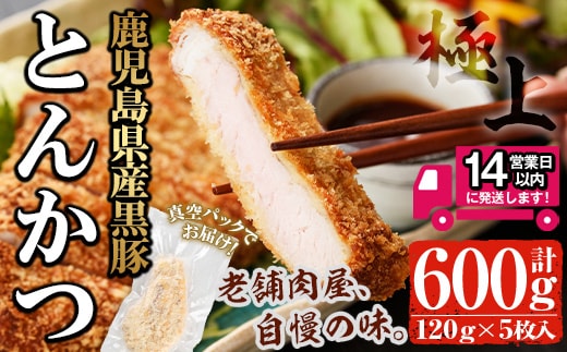 ＜14営業日以内発送！＞鹿児島県産黒豚ロースとんかつセット(120g×5枚・計600g)国産黒豚豚肉【佐多精肉店】A25-v01