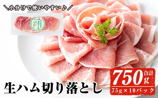 ＜2026年1月中に発送予定＞国産豚生ハム切り落とし75g×10P(計750g) 生ハム おつまみ 小分け 【ナンチク】A302-01-v01