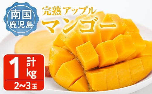 ＜先行予約受付中・2026年6月下旬～7月下旬頃に発送予定＞＜数量限定＞完熟アップルマンゴー「紅」(計1kg) マンゴー 果物 フルーツ【大徳産業】 A389-v02