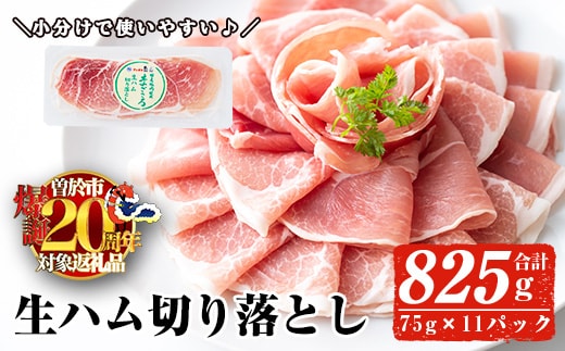 ＜2026年4月中に発送予定＞国産豚生ハム切り落とし75g×11P(計825g) 生ハム おつまみ 小分け 【ナンチク】A302-04-v02