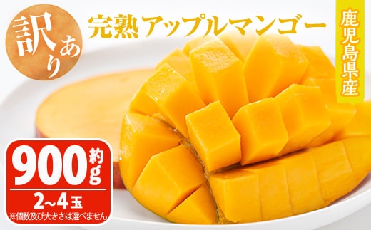 ＜先行予約受付中・2026年6月下旬～7月下旬頃に発送予定＞＜訳あり・数量限定＞完熟アップルマンゴー「紅」(約900g・9850～950g)マンゴー 果物 フルーツ【大徳産業】A392-v01