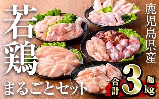 鹿児島県産若鶏まるごとセット(計3.05kg)小分け鶏肉セット【TRINITY】A467-v02