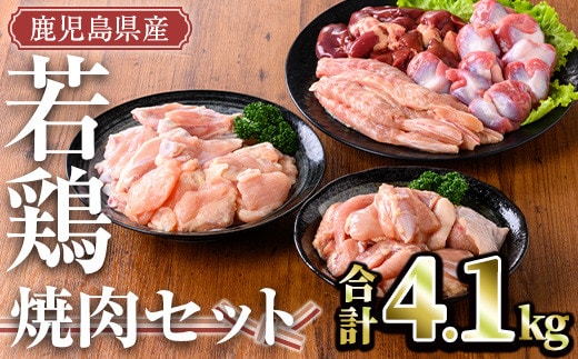 鹿児島県産若鶏焼肉セット(計4.1kg)小分け鶏肉セット【TRINITY】A470-v02