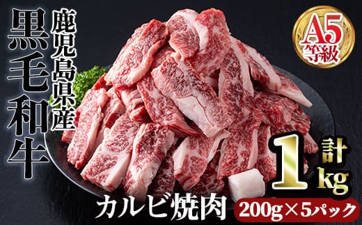 A5等級鹿児島県産黒毛和牛カルビ焼肉(計1kg・200g×5パック×1回)カルビ焼肉黒毛和牛【カミチク】A491-v01