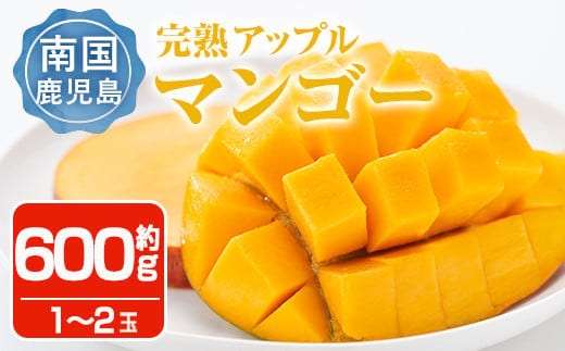 ＜先行予約受付中・2026年6月下旬～7月下旬頃に発送予定＞＜数量限定＞完熟アップルマンゴー「紅」(約600g) マンゴー 果物 フルーツ【大徳産業】 A495-v02