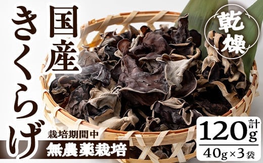 国産きくらげ(計120g・3袋)国産キクラゲ常温【九南サービス(タマチャンショップ)】A501