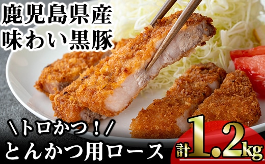 かごしま味わい黒豚とんかつ用ロース【トロかつ】(計1.2kg・200g×6枚)鹿児島県産豚肉黒豚【KNOT】A559