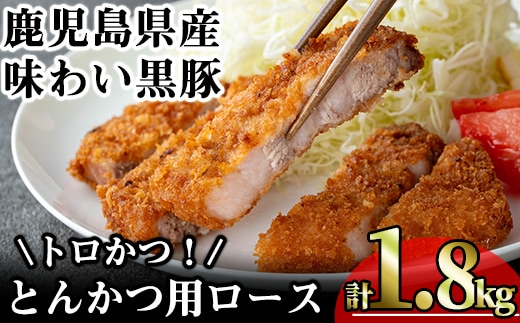 かごしま味わい黒豚とんかつ用ロース【トロかつ】(計1.8kg・200g×9枚)鹿児島県産豚肉黒豚【KNOT】A560