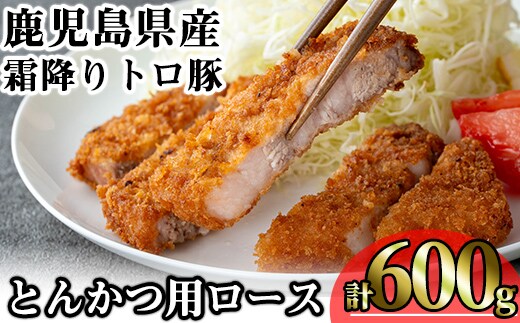 鹿児島県産霜降りトロ豚とんかつ用ロース(計600g・200g×3枚)鹿児島県産豚肉霜降り【KNOT】A570