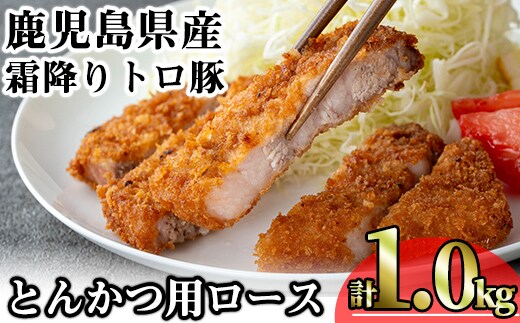 鹿児島県産霜降りトロ豚とんかつ用ロース(計1kg・200g×5枚)鹿児島県産豚肉霜降り【KNOT】A571