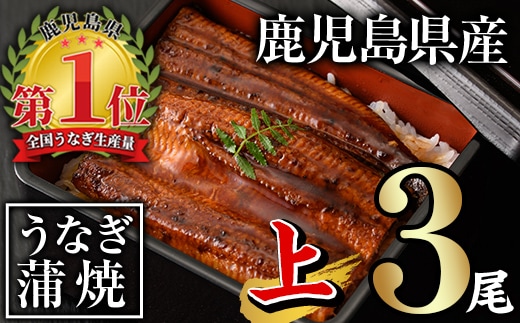 無投薬！鹿児島県産うなぎ蒲焼セット＜上＞(計420g以上・約140g以上×3尾)タレ・山椒付き鰻ウナギ国産【西日本養鰻】A505-v01