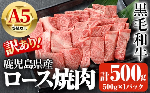 鹿児島県産A5等級以上黒毛和牛・ロース不揃い切り落とし焼肉計500g(500g×1パック)黒毛和牛牛肉切り落とし【ビーフ倉薗】A521-v01