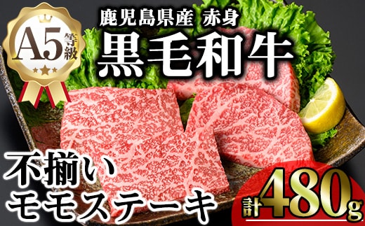 鹿児島県産A5等級黒毛和牛不揃い赤身モモステーキ(計480g)牛肉鹿児島県産牛黒毛和牛モモモモステーキステーキステーキ肉A5冷凍訳あり赤身不揃いA5【KNOT】A638