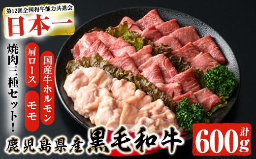 鹿児島県産黒毛和牛の焼き肉セット(和牛ロース肉、モモ肉、国産牛ホルモン各200g計600g)黒毛和牛焼き肉冷凍【ナンチク】A6-v01
