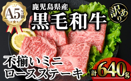 鹿児島県産A5等級黒毛和牛不揃いロースミニステーキ(計640g)黒毛和牛モモステーキ冷凍【KNOT】A642