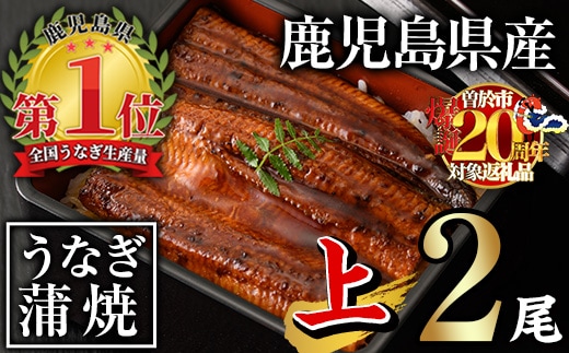 無投薬！鹿児島県産うなぎ蒲焼セット＜上＞(計280g以上・140g以上×2尾)タレ・山椒付き鰻うなぎ蒲焼【西日本養鰻】A60-v02
