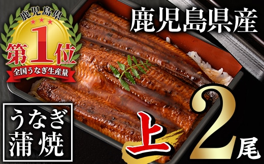 無投薬！鹿児島県産うなぎ蒲焼セット＜上＞(計280g以上・140g以上×2尾)タレ・山椒付き鰻うなぎ蒲焼【西日本養鰻】A60-v01