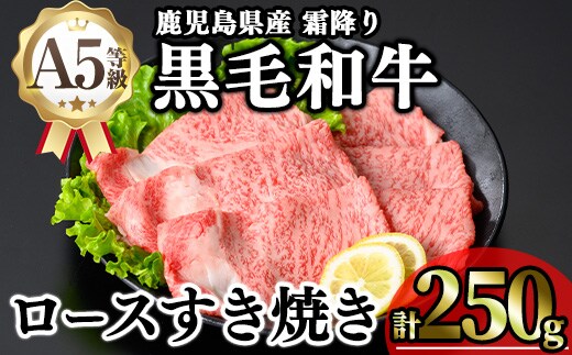 鹿児島県産A5等級黒毛和牛霜降りロースすき焼き(計250g) 黒毛和牛 冷凍 ローススライス【KNOT】A643-v01