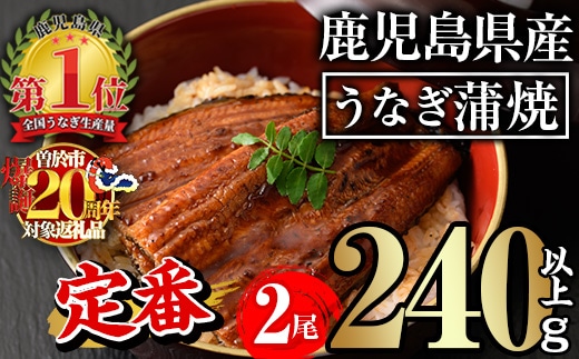 無投薬！鹿児島県産うなぎ蒲焼セット＜定番＞(計240g以上・約120g×2尾)タレ・山椒付き鰻ウナギ国産【西日本養鰻】A730-v01