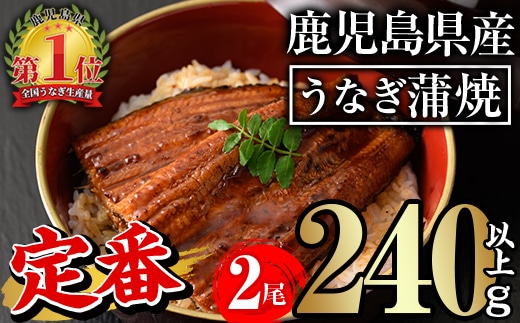 無投薬！鹿児島県産うなぎ蒲焼セット＜定番＞(計240g以上・約120g×2尾)タレ・山椒付き鰻ウナギ国産【西日本養鰻】A730-v02