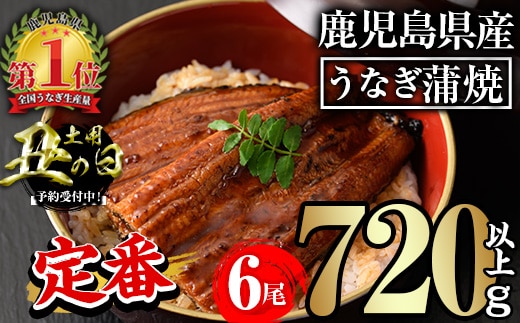 ＜丑の日先行予約受付中！＞無投薬！鹿児島県産うなぎ蒲焼セット＜定番＞(計720g以上・ 約120g×6尾) タレ・山椒付き 鰻 ウナギ 国産【西日本養鰻】A732-v01