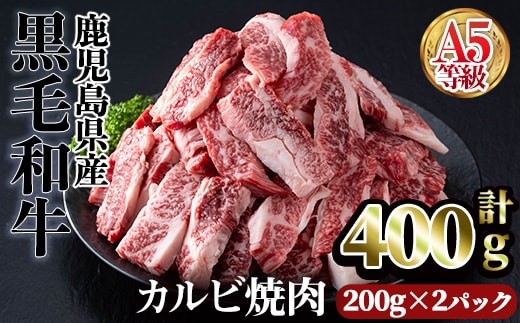A5等級鹿児島県産黒毛和牛カルビ焼肉(計400g・200g×2パック×1回)カルビ焼肉黒毛和牛【カミチク】A5等級鹿児島県産黒毛和牛カルビ焼肉(計400g・200g×2パック×1回)カルビ焼肉黒毛和牛【カミチク】A749