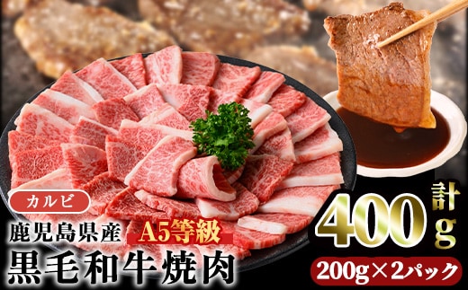 A5等級鹿児島県産黒毛和牛カルビ焼肉(計400g・200g×2パック×1回)カルビ焼肉黒毛和牛【カミチク】A5等級鹿児島県産黒毛和牛カルビ焼肉(計400g・200g×2パック×1回)カルビ焼肉黒毛和牛【カミチク】A749