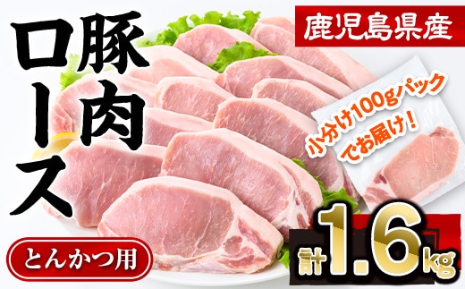 鹿児島県産豚肉ロースとんかつ(計1.6kg・100g×16P)豚肉ロースとんかつ【株式会社羽根】A722