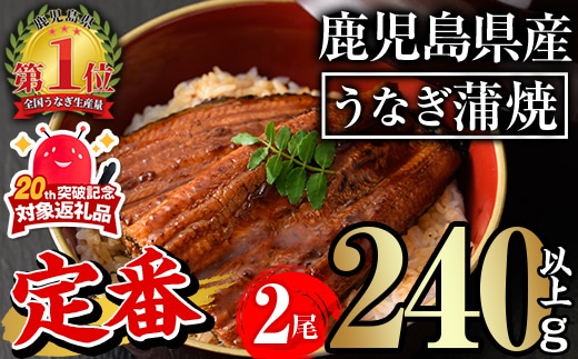 無投薬！鹿児島県産うなぎ蒲焼セット＜定番＞(計240g以上・約120g×2尾)タレ・山椒付き鰻ウナギ国産【西日本養鰻】A730-v02