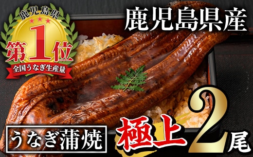 無投薬！鹿児島県産うなぎ蒲焼セット＜極上＞(計320g以上・160g～236g×2尾)タレ・山椒付き 鰻 ウナギ 国産【西日本養鰻】A735-v01