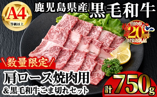 【数量限定】鹿児島県産黒毛和牛A4等級以上肩ロース焼肉用(計750g＋黒毛和牛こま切れ250g×1P)鹿児島県産牛肉冷凍【KNOT】A806-v01